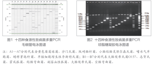 QQ截圖20200731095741.png QQ截圖20200731095741.png